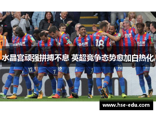 水晶宫顽强拼搏不息 英超竞争态势愈加白热化 水晶宫顽强拼搏不息 英超竞争态势愈加白热化